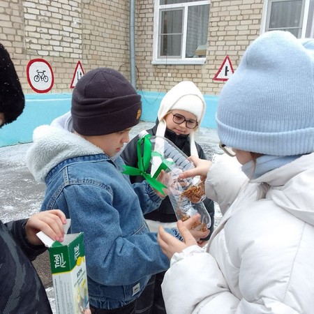 Покормим птиц зимой